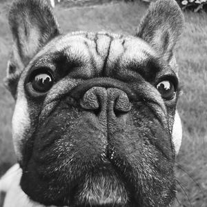 Meet your Posher, Sophia